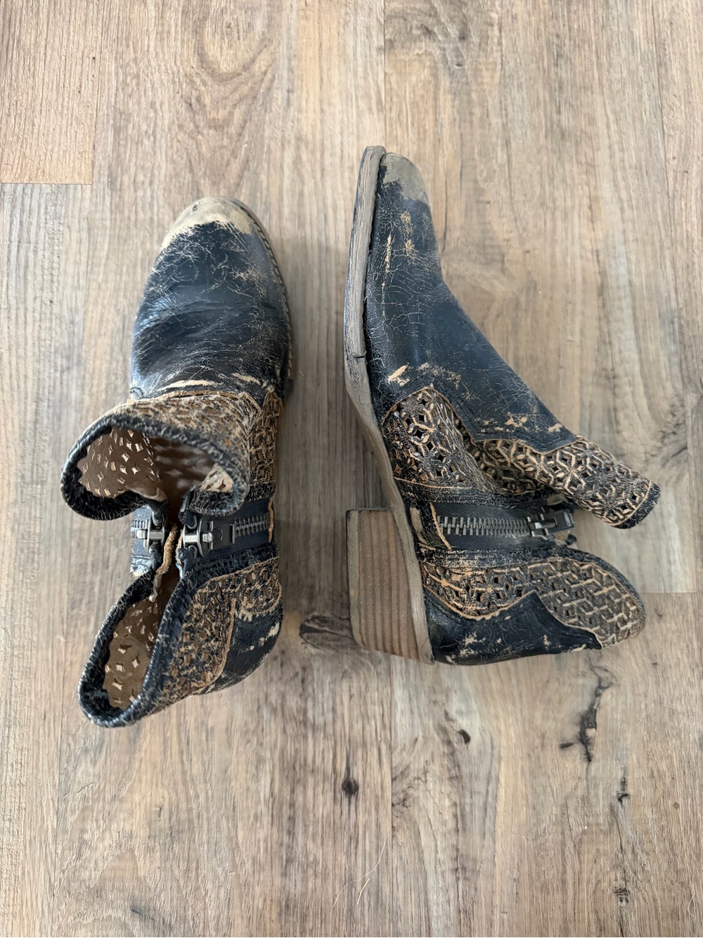 Circle G Black and Brown Distressed Cutout Ankle Booties with Side Zip